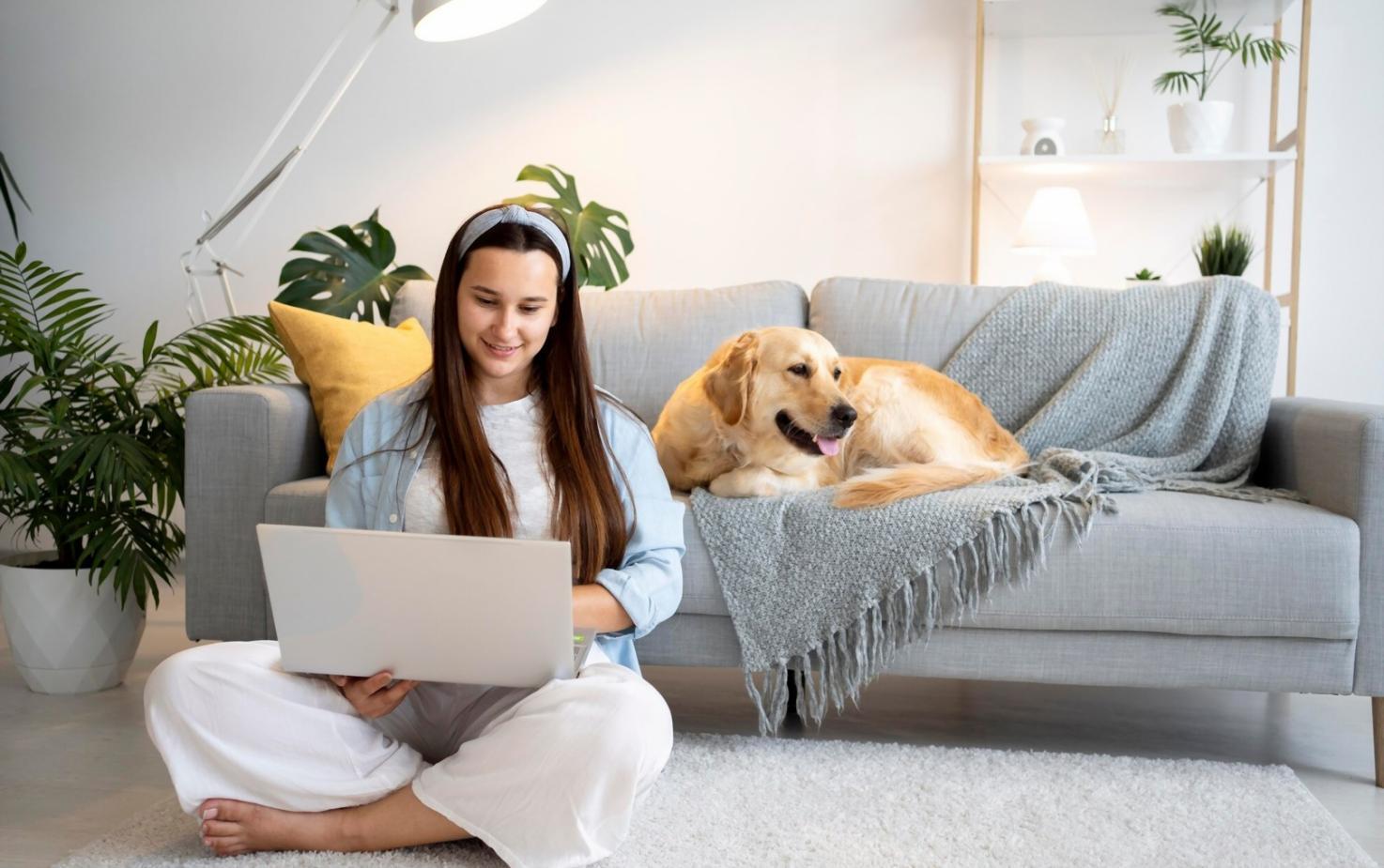 Bildungsprogramm zur Erkennung von Finanztrends bei himenqoalry